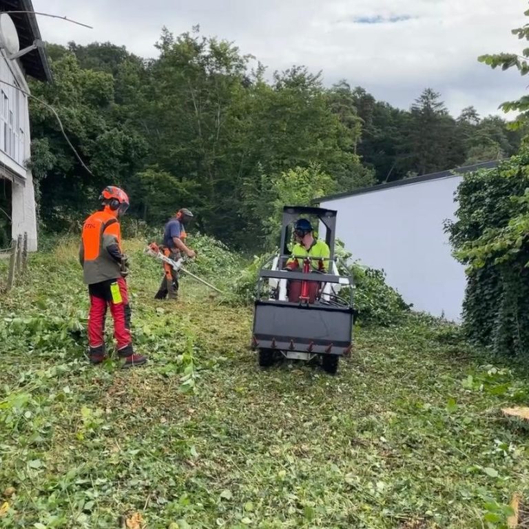 Drei Personen arbeiten mit Maschinen und entfernen Grünzeug auf einem Feld.